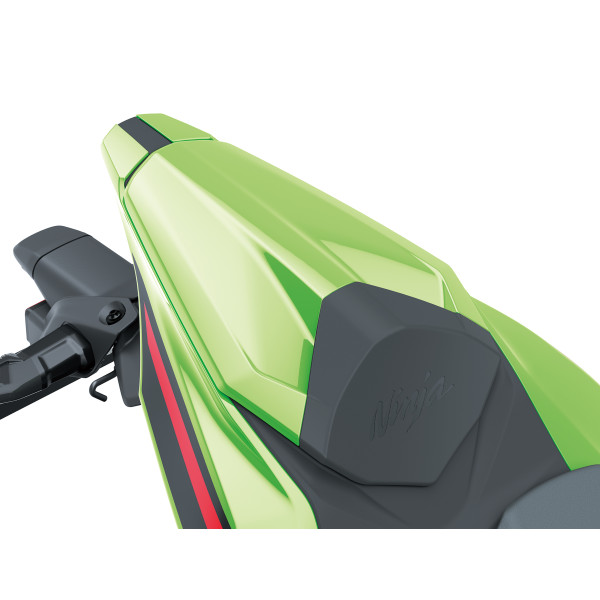 Kawasaki Pillion seat cover